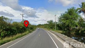 Land for sale in Bana, Pattani