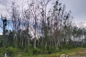Land for sale in Khlong Hae, Songkhla
