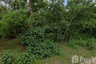 Land for sale in Bana, Pattani