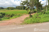 Land for sale in Mae Na Ruea, Phayao