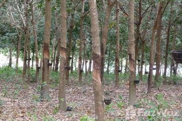 Land for sale in Khian Sa, Surat Thani