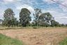 Land for sale in Nong Bua Khok, Buriram
