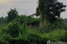 Land for sale in Rai Khing, Nakhon Pathom