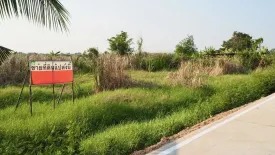 Land for sale in Bang Luang, Pathum Thani
