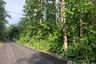 Land for sale in Pha Sing, Nan