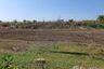 Land for sale in Don Khoi, Nakhon Pathom