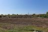 Land for sale in Don Khoi, Nakhon Pathom