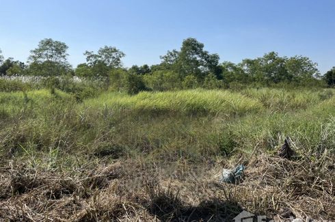 Land for sale in Bueng Nam Rak, Pathum Thani