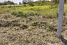 Land for sale in Bueng Nam Rak, Pathum Thani