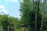 Land for sale in Khlong Hae, Songkhla