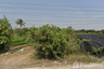 Land for sale in Lan Tak Fa, Nakhon Pathom