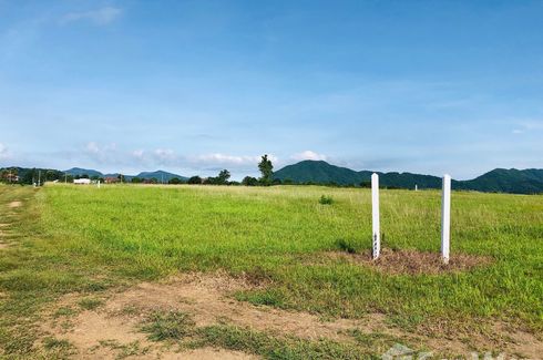 Land for sale in The Nature Petchaboon, Yang Ngam, Phetchabun