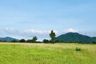 Land for sale in The Nature Petchaboon, Yang Ngam, Phetchabun