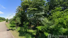 Land for sale in Ban Ko, Uttaradit