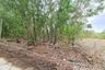 Land for sale in Khlong Si, Pathum Thani