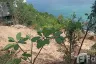 Land for sale in Bo Phut, Surat Thani