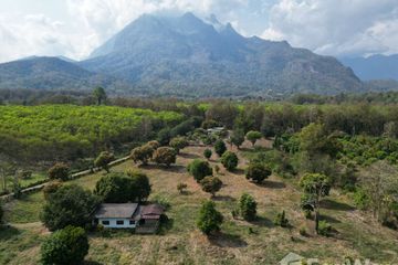 Land for sale in Chiang Dao, Chiang Mai