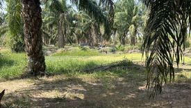Land for sale in Rai Mai Phatthana, Phetchaburi
