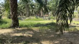 Land for sale in Rai Mai Phatthana, Phetchaburi
