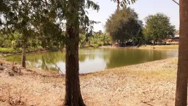 Land for sale in Phan Suek, Sa Kaeo