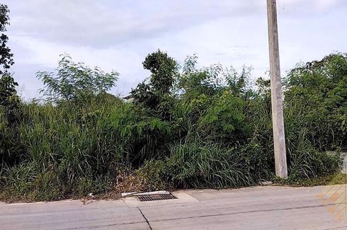 Land for sale in Nong Prue, Chonburi