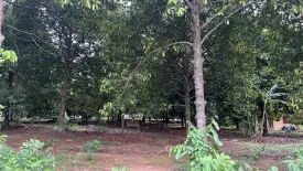 Land for sale in Khlong Narai, Chanthaburi