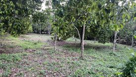 Land for sale in Khlong Narai, Chanthaburi