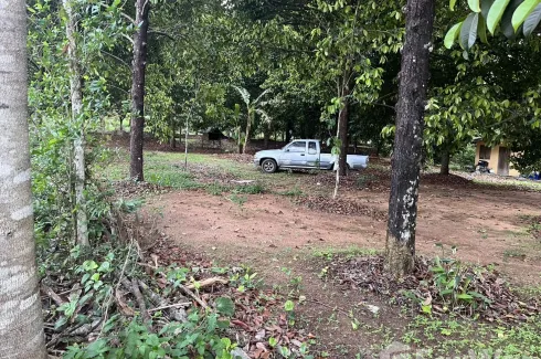 Land for sale in Khlong Narai, Chanthaburi