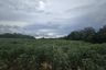 Land for sale in Bang Sare, Chonburi