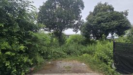 Land for sale in Nong Prue, Chonburi