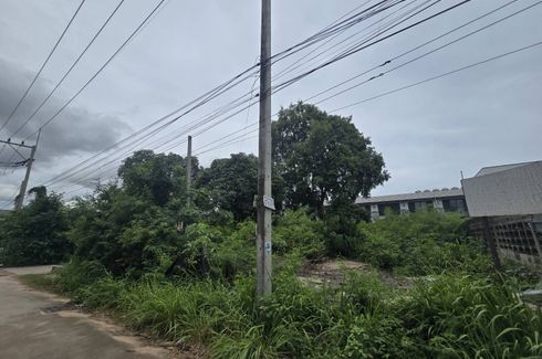 Land for sale in Nong Prue, Chonburi