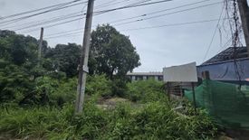 Land for sale in Nong Prue, Chonburi
