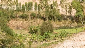 Land for sale in Phlu Ta Luang, Chonburi