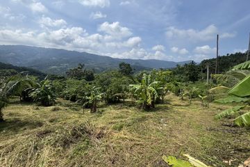 Land for sale in Bo Phut, Surat Thani
