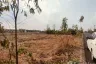 Land for sale in Nong Hi, Roi Et