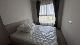 1 Bedroom Condo for rent in NIA by Sansiri, Phra Khanong Nuea, Bangkok near BTS Phra Khanong