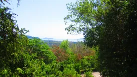 Land for sale in Yamu Hills, Pa Khlok, Phuket