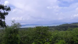 Land for sale in Yamu Hills, Pa Khlok, Phuket
