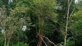 Land for sale in Pa Khlok, Phuket