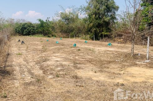 Land for sale in Buak Khang, Chiang Mai