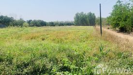 Land for sale in Buak Khang, Chiang Mai