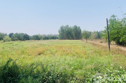 Land for sale in Buak Khang, Chiang Mai