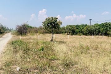 Land for sale in Buak Khang, Chiang Mai
