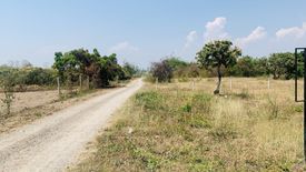 Land for sale in Buak Khang, Chiang Mai