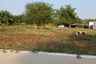 Land for sale in Nong Pla Lai, Chonburi