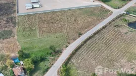 Land for sale in Na Klang, Nakhon Ratchasima