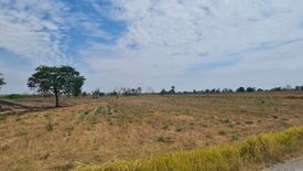 Land for sale in Dan Nai, Nakhon Ratchasima