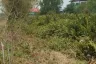 Land for sale in Khao Din, Chachoengsao