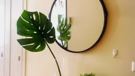 1 Bedroom Condo for rent in Makkasan, Bangkok near MRT Phra Ram 9