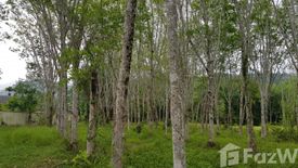 Land for sale in Pa Khlok, Phuket